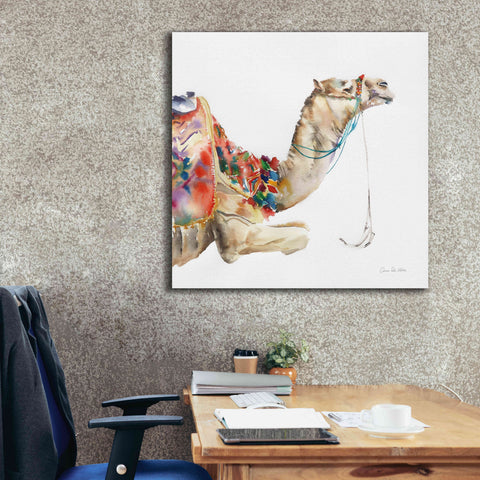 Image of 'Desert Camel I' by Alan Majchrowicz, Giclee Canvas Wall Art,37x37