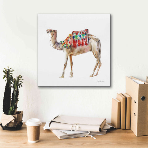 Image of 'Desert Camel II' by Alan Majchrowicz, Giclee Canvas Wall Art,18x18