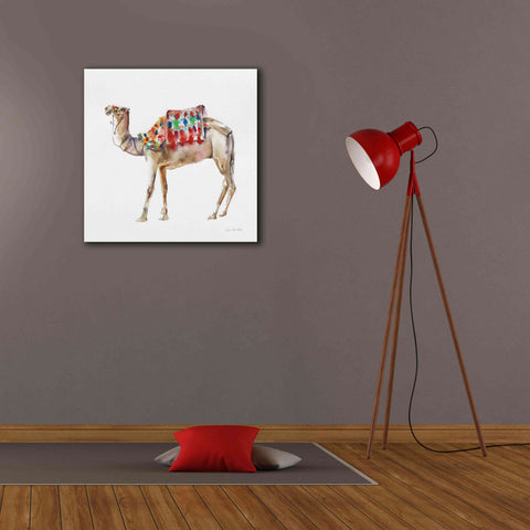 Image of 'Desert Camel II' by Alan Majchrowicz, Giclee Canvas Wall Art,26x26