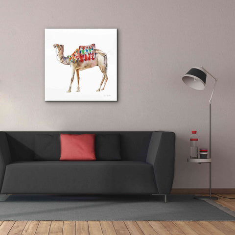 Image of 'Desert Camel II' by Alan Majchrowicz, Giclee Canvas Wall Art,37x37