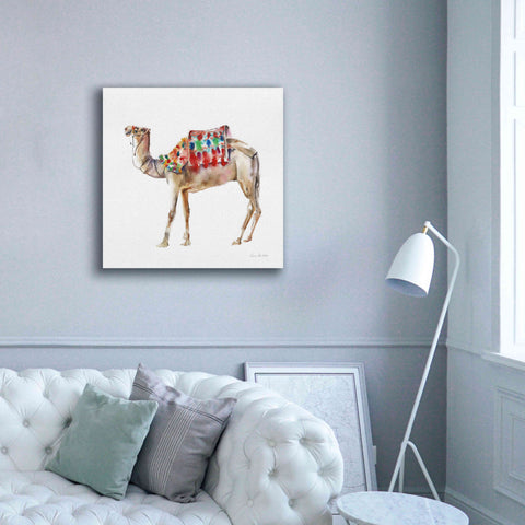 Image of 'Desert Camel II' by Alan Majchrowicz, Giclee Canvas Wall Art,37x37