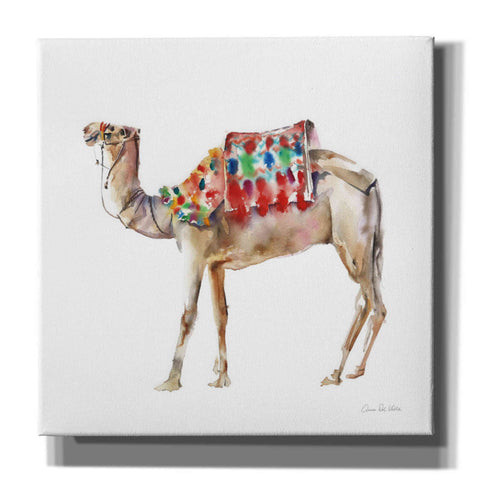 Image of 'Desert Camel II' by Alan Majchrowicz, Giclee Canvas Wall Art