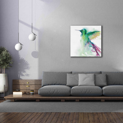 Image of 'Hummingbirds III' by Alan Majchrowicz, Giclee Canvas Wall Art,37x37