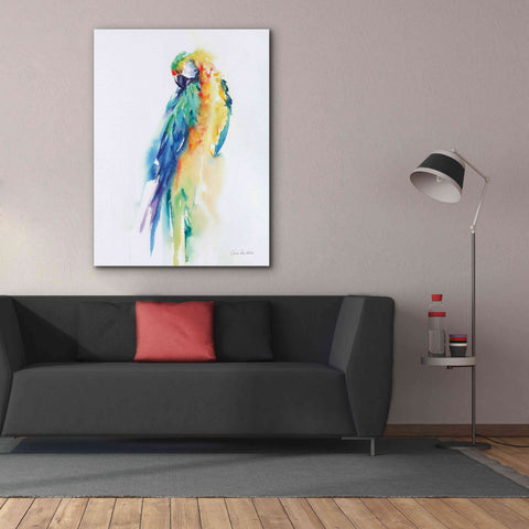 Image of 'Colorful Parrots II' by Alan Majchrowicz, Giclee Canvas Wall Art,40x54