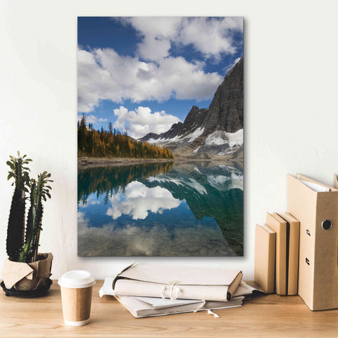 Image of 'Floe Lake Reflection I' by Alan Majchrowicz, Giclee Canvas Wall Art,18x26