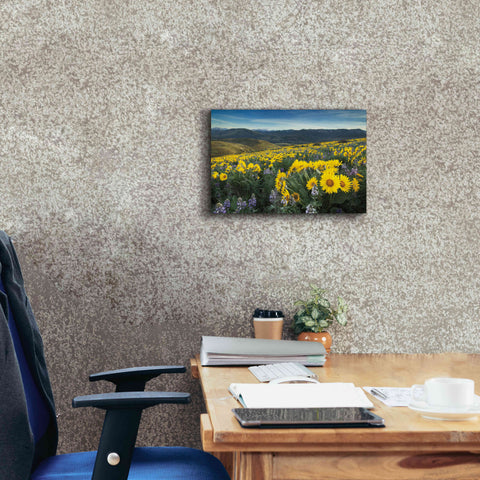 Image of 'Methow Valley Wildflowers IV' by Alan Majchrowicz, Giclee Canvas Wall Art,18x12