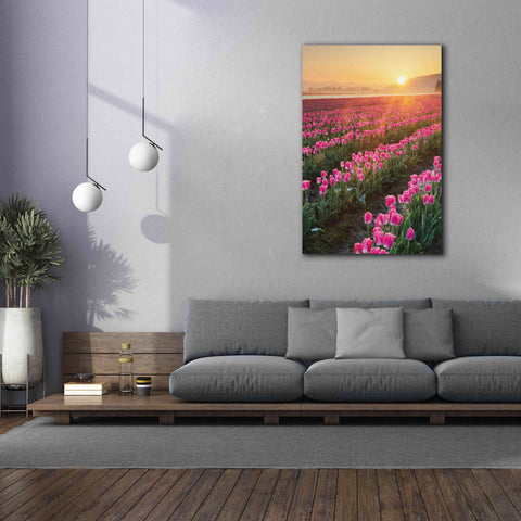Image of 'Skagit Valley Tulips II' by Alan Majchrowicz,Giclee Canvas Wall Art,40x60