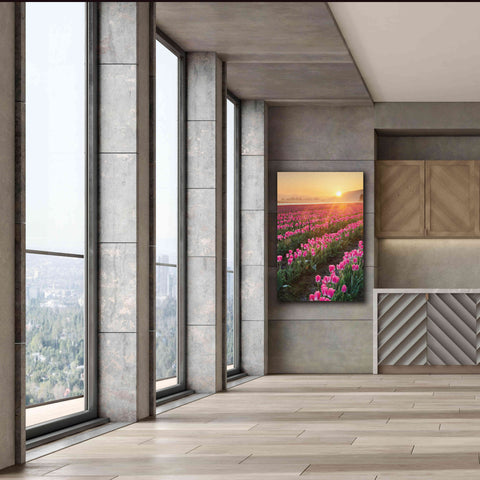 Image of 'Skagit Valley Tulips II' by Alan Majchrowicz,Giclee Canvas Wall Art,40x60