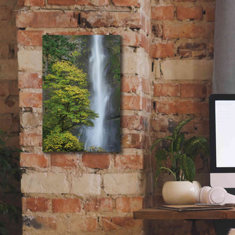 Image of 'Multnomah Falls color' by Alan Majchrowicz,Giclee Canvas Wall Art,12x18