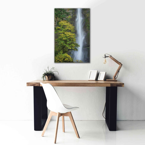 Image of 'Multnomah Falls color' by Alan Majchrowicz,Giclee Canvas Wall Art,26x40