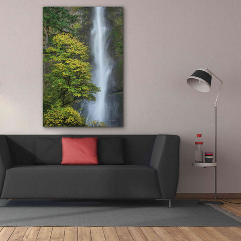 Image of 'Multnomah Falls color' by Alan Majchrowicz,Giclee Canvas Wall Art,40x60
