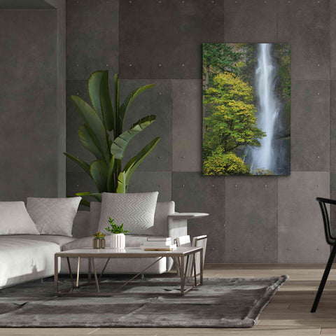 Image of 'Multnomah Falls color' by Alan Majchrowicz,Giclee Canvas Wall Art,40x60