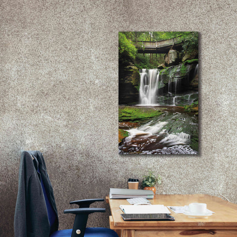 Image of 'Elakala Falls West I' by Alan Majchrowicz,Giclee Canvas Wall Art,26x40