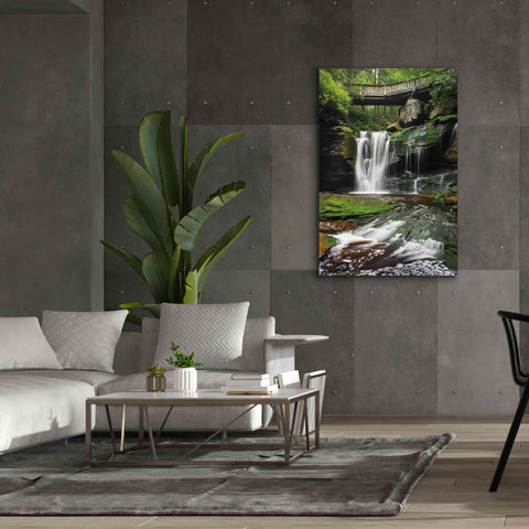 Image of 'Elakala Falls West I' by Alan Majchrowicz,Giclee Canvas Wall Art,40x60