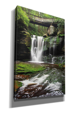 Image of 'Elakala Falls West I' by Alan Majchrowicz,Giclee Canvas Wall Art