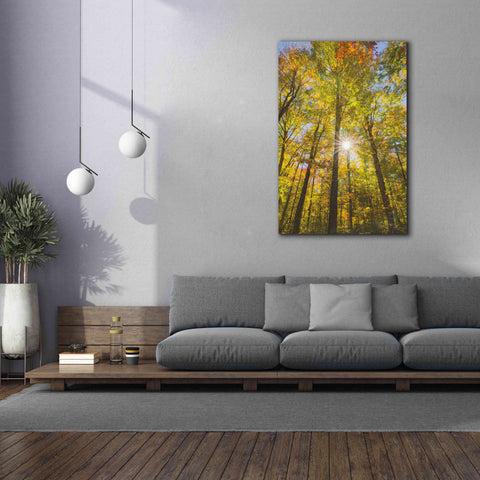 Image of 'Autumn Foliage Sunburst III' by Alan Majchrowicz,Giclee Canvas Wall Art,40x60