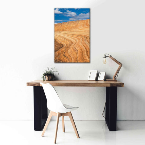 Image of 'Coyote Buttes V' by Alan Majchrowicz,Giclee Canvas Wall Art,26x40