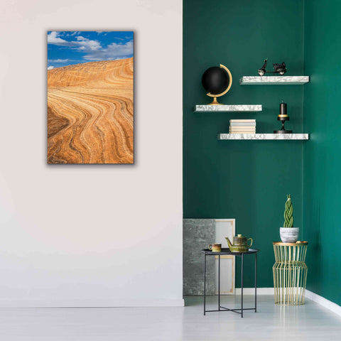 Image of 'Coyote Buttes V' by Alan Majchrowicz,Giclee Canvas Wall Art,26x40