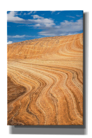 Image of 'Coyote Buttes V' by Alan Majchrowicz,Giclee Canvas Wall Art