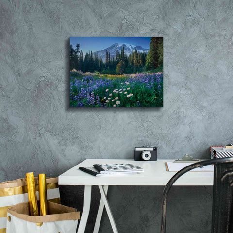Image of 'Mount Rainier' by Alan Majchrowicz,Giclee Canvas Wall Art,16x12