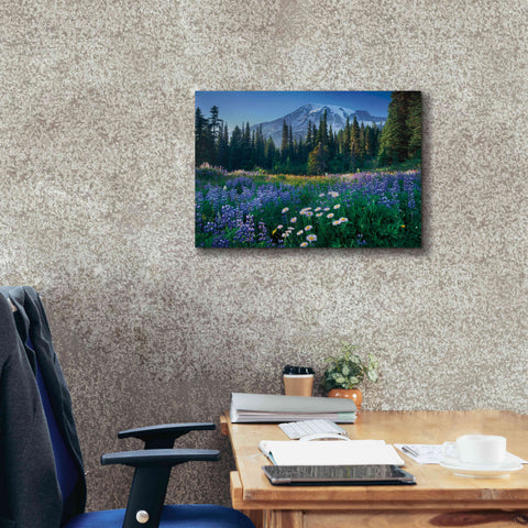 Image of 'Mount Rainier' by Alan Majchrowicz,Giclee Canvas Wall Art,24x20