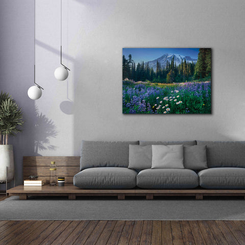 Image of 'Mount Rainier' by Alan Majchrowicz,Giclee Canvas Wall Art,54x40