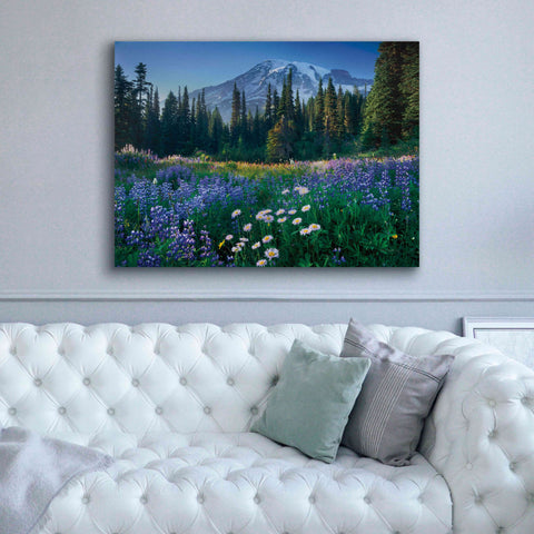 Image of 'Mount Rainier' by Alan Majchrowicz,Giclee Canvas Wall Art,54x40