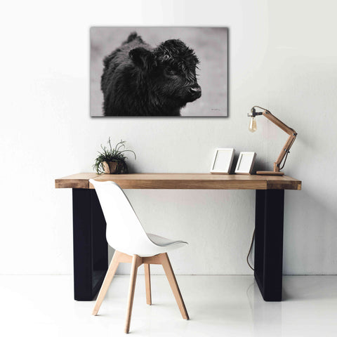 Image of 'Scottish Highland Cattle XI BW' by Alan Majchrowicz,Giclee Canvas Wall Art,40x26