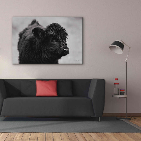 Image of 'Scottish Highland Cattle XI BW' by Alan Majchrowicz,Giclee Canvas Wall Art,60x40