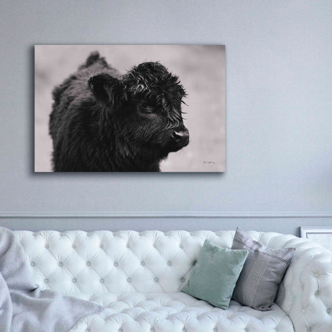 Image of 'Scottish Highland Cattle XI BW' by Alan Majchrowicz,Giclee Canvas Wall Art,60x40