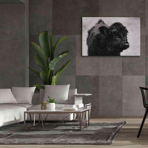 Image of 'Scottish Highland Cattle XI BW' by Alan Majchrowicz,Giclee Canvas Wall Art,60x40