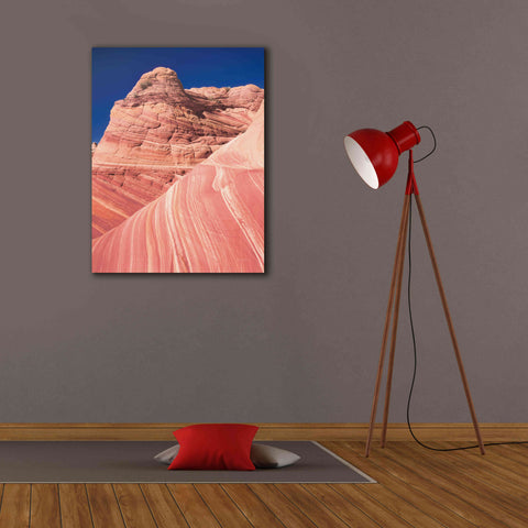 Image of 'Coyote Buttes I Blush' by Alan Majchrowicz,Giclee Canvas Wall Art,26x34