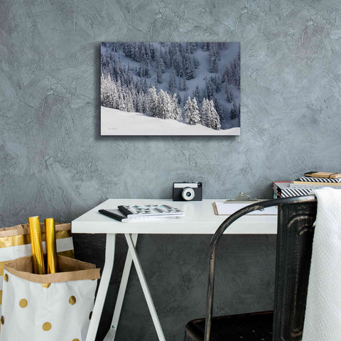 Image of 'North Cascades in Winter III' by Alan Majchrowicz,Giclee Canvas Wall Art,18x12