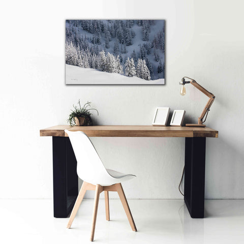 Image of 'North Cascades in Winter III' by Alan Majchrowicz,Giclee Canvas Wall Art,40x26