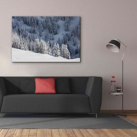 Image of 'North Cascades in Winter III' by Alan Majchrowicz,Giclee Canvas Wall Art,60x40