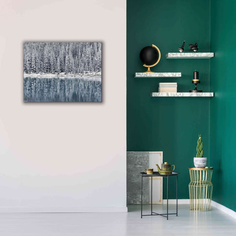 Image of 'Winter Reflections' by Alan Majchrowicz,Giclee Canvas Wall Art,34x26