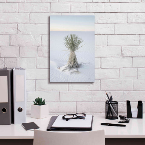Image of 'Yucca in White Sands National Monument' by Alan Majchrowicz,Giclee Canvas Wall Art,12x18