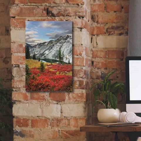 Image of 'Lake Ann North Cascades' by Alan Majchrowicz,Giclee Canvas Wall Art,12x18