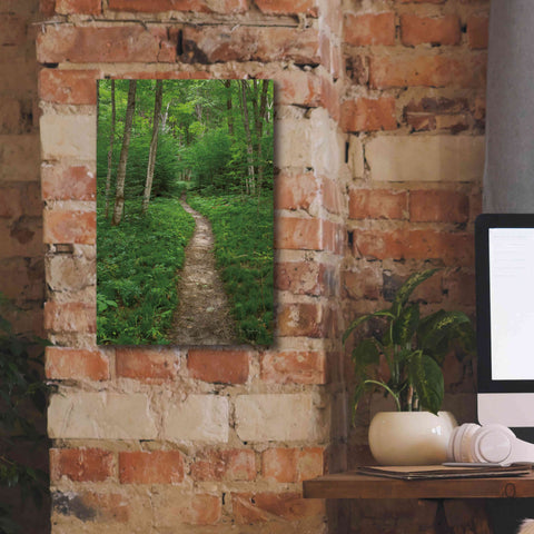 Image of 'North Country Trail' by Alan Majchrowicz,Giclee Canvas Wall Art,12x18