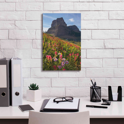Image of 'Boulder Pass Wildflowers' by Alan Majchrowicz,Giclee Canvas Wall Art,12x18