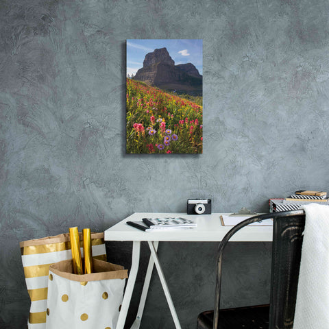 Image of 'Boulder Pass Wildflowers' by Alan Majchrowicz,Giclee Canvas Wall Art,12x18