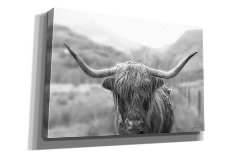 Image of 'Scottish Highland Cattle III Neutral Crop' by Alan Majchrowicz,Giclee Canvas Wall Art