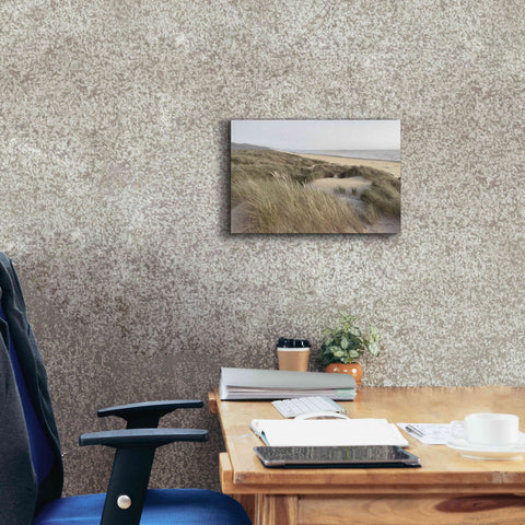 Image of 'Oregon Dunes' by Alan Majchrowicz,Giclee Canvas Wall Art,18x12