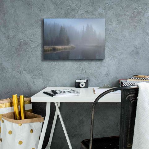 Image of 'Grand Teton Lake Fog' by Alan Majchrowicz,Giclee Canvas Wall Art,18x12