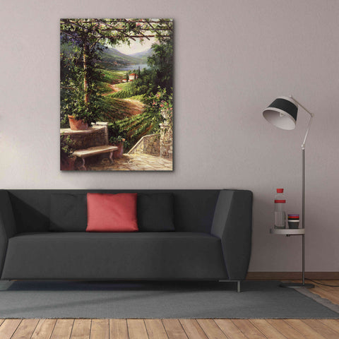 Image of 'Chianti Vineyard' by Art Fronckowiak, Giclee Canvas Wall Art,40x54