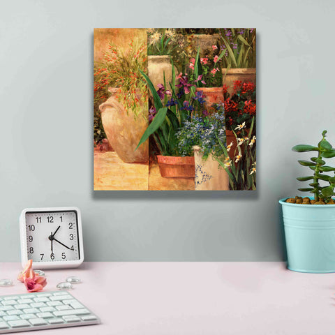 Image of 'Flower Pots Left' by Art Fronckowiak, Giclee Canvas Wall Art,12x12