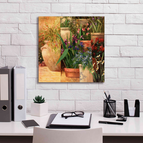 Image of 'Flower Pots Left' by Art Fronckowiak, Giclee Canvas Wall Art,18x18