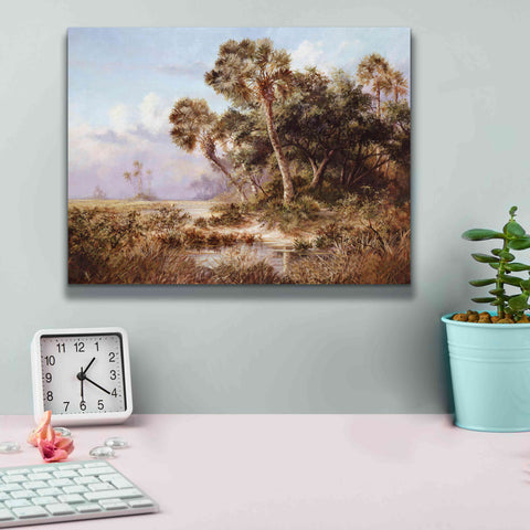 Image of 'Glades Cove' by Art Fronckowiak, Giclee Canvas Wall Art,16x12