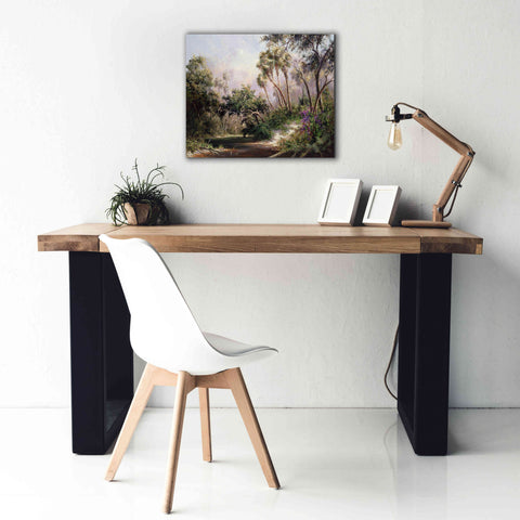 Image of 'Myakka River Scene' by Art Fronckowiak, Giclee Canvas Wall Art,24x20