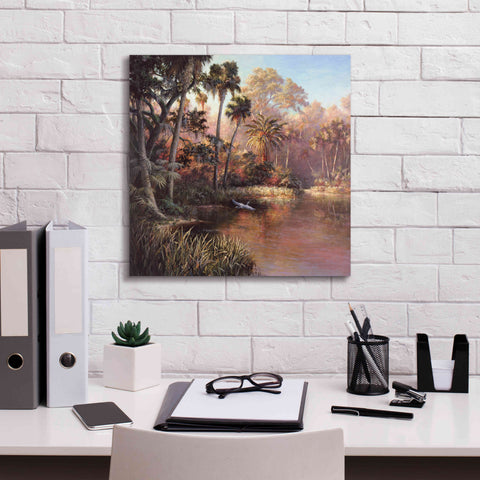 Image of 'Myakka Sunset' by Art Fronckowiak, Giclee Canvas Wall Art,18x18